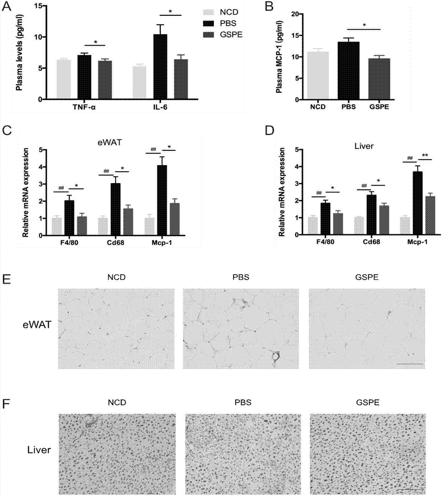 Procyanidine-containing prebiotics and application thereof to obesity and metabolic syndrome medicines