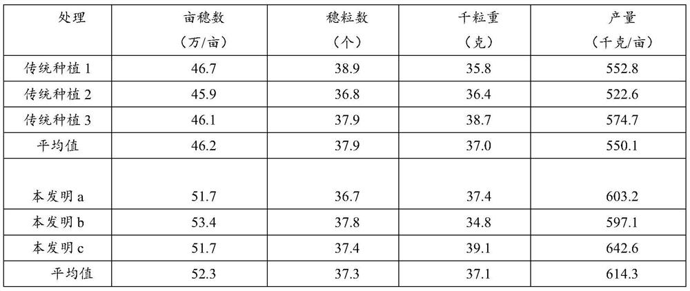 Cultivation method for increasing interception amount of optical energy of wheat