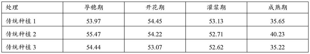 Cultivation method for increasing interception amount of optical energy of wheat