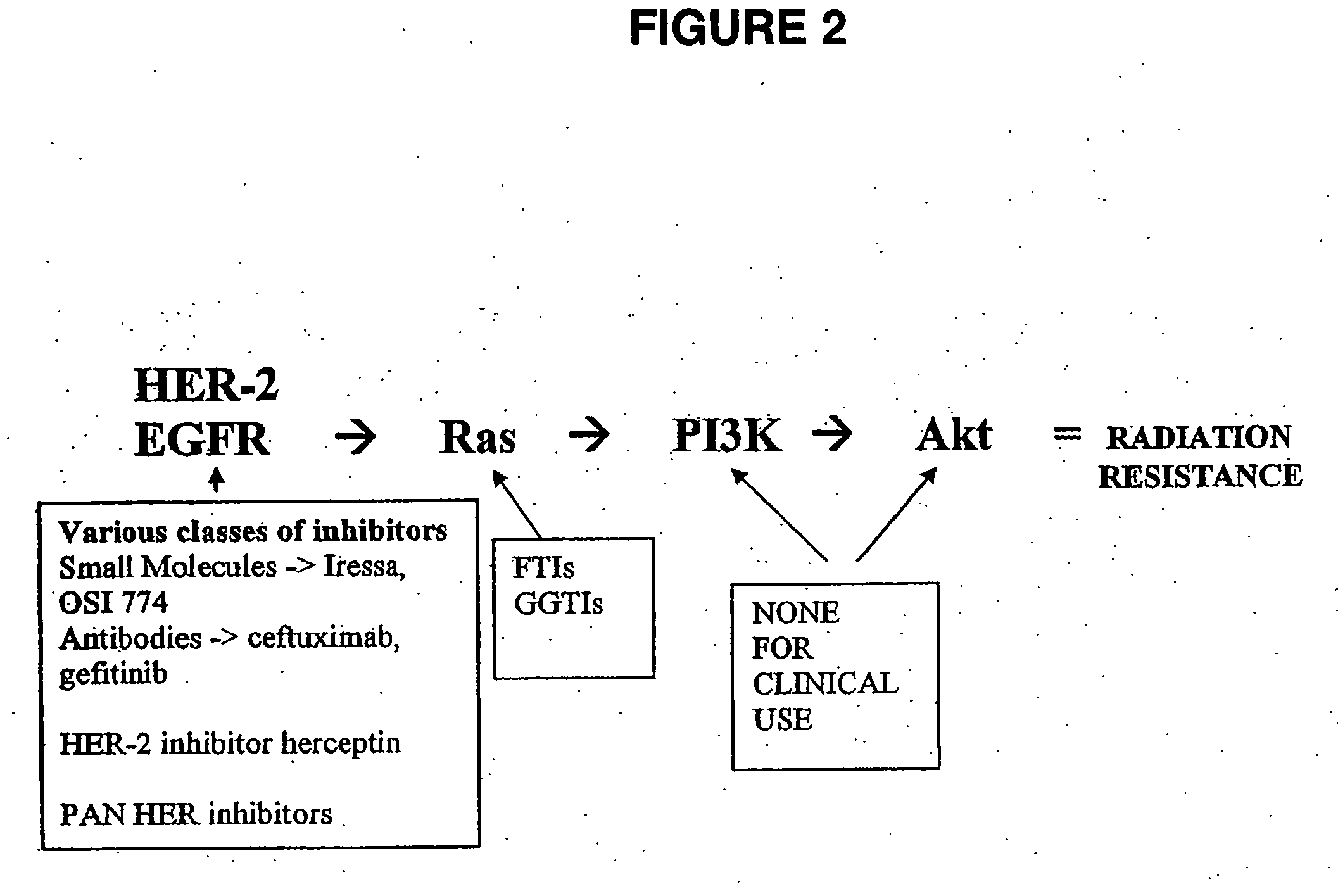 Use of amprenavir as a radiation sensitizer