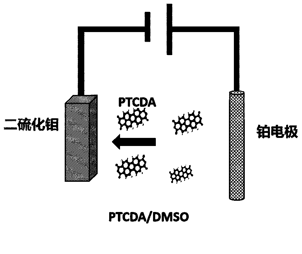 Preparation method and application of organic-inorganic heterojunction