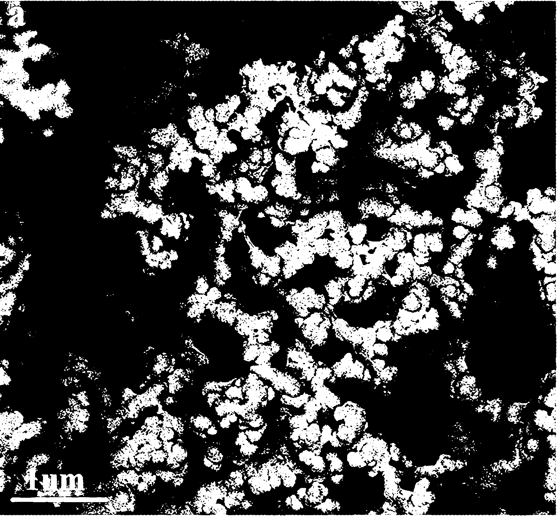 Preparation method of polypyrrole/graphene sheet/nickel oxide nano composite conductive material