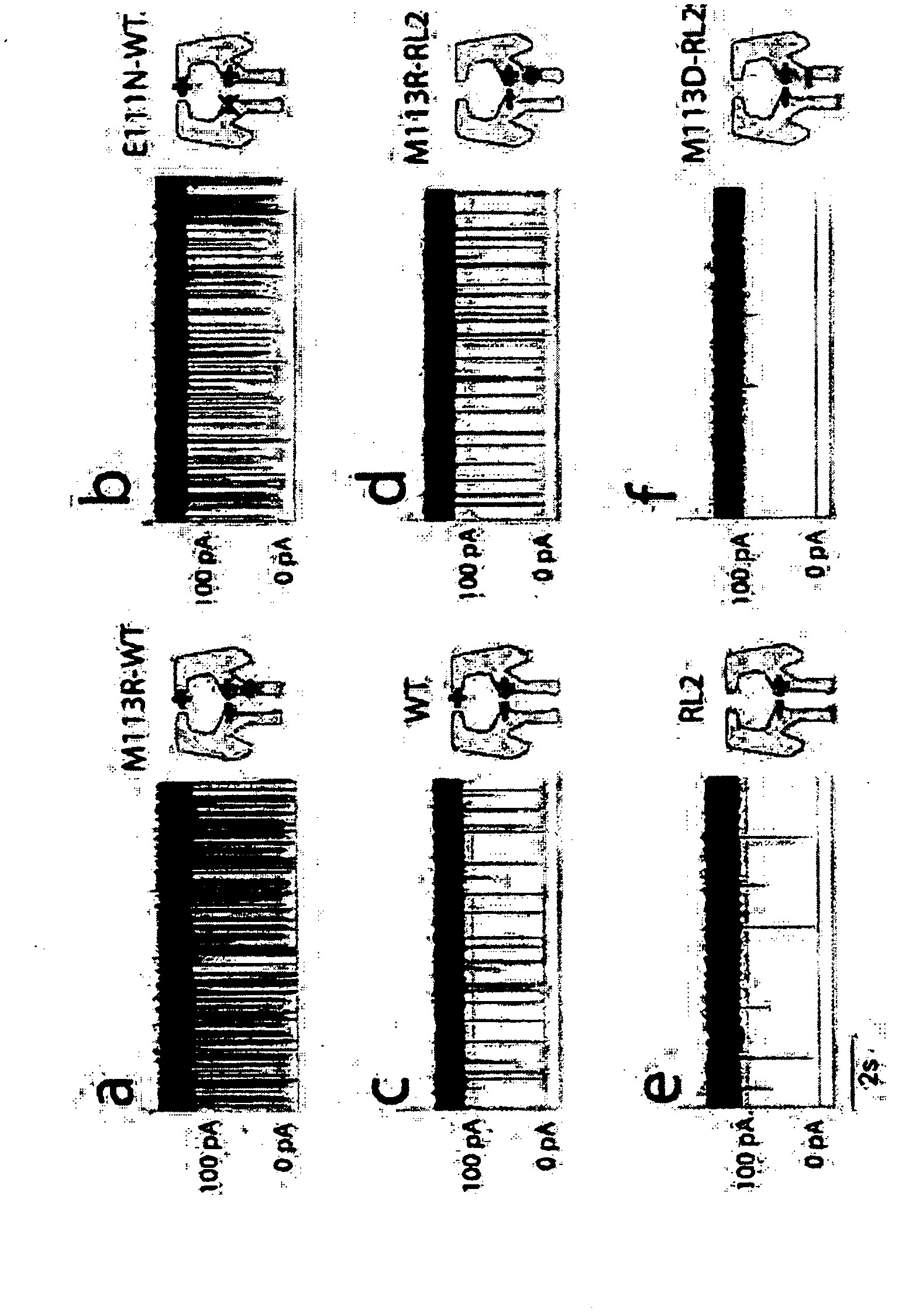 Methods of enhancing translocation of charged analytes through transmembrane protein pores