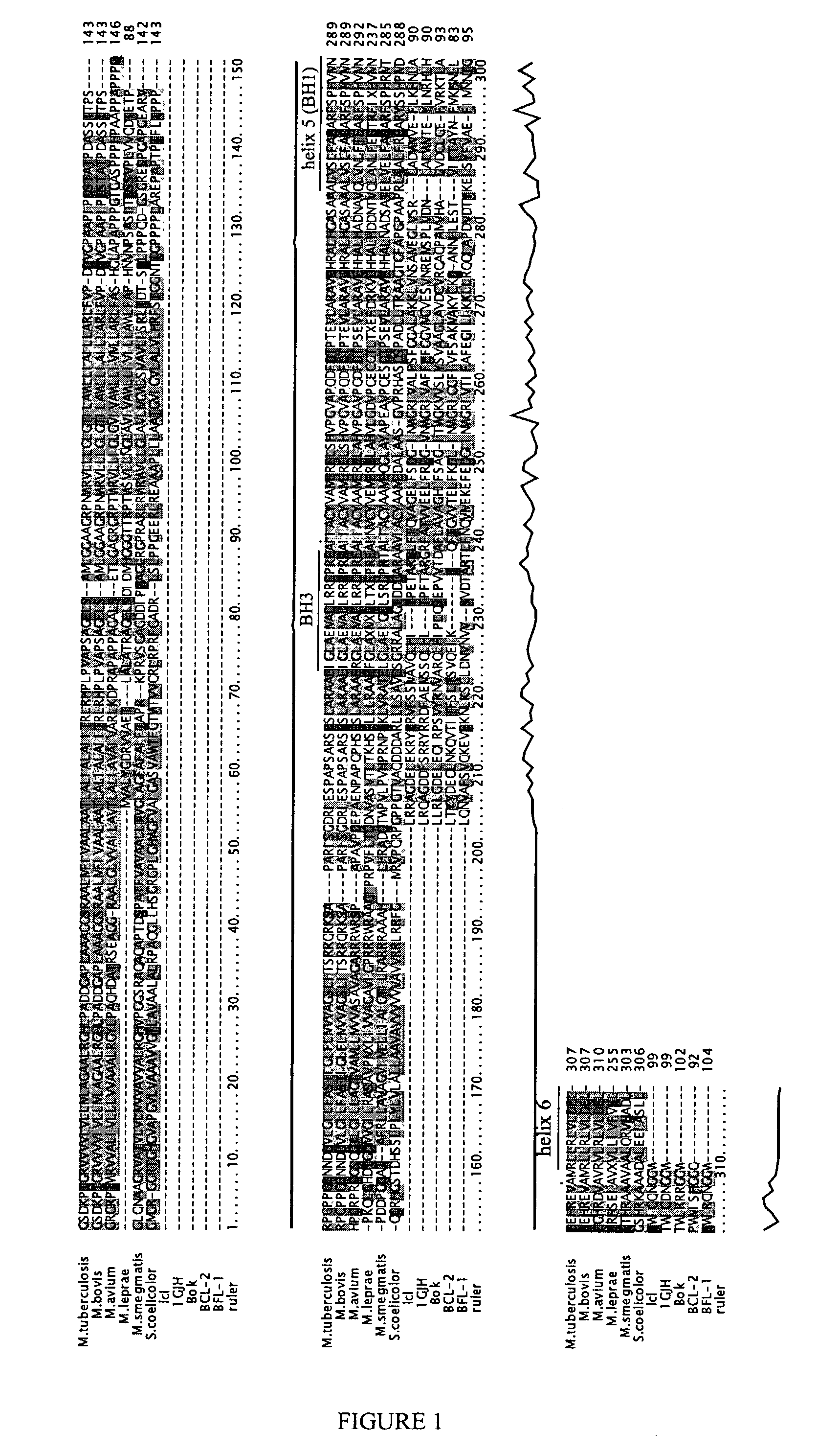 Bacterial Bcl-2 domain-containing polypeptides, encoding nucleic acid molecules, and related methods