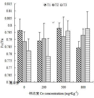 Method for improving chlorophyll fluorescence power of festuca arundinacea under dry condition by cerium