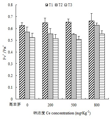 Method for improving chlorophyll fluorescence power of festuca arundinacea under dry condition by cerium