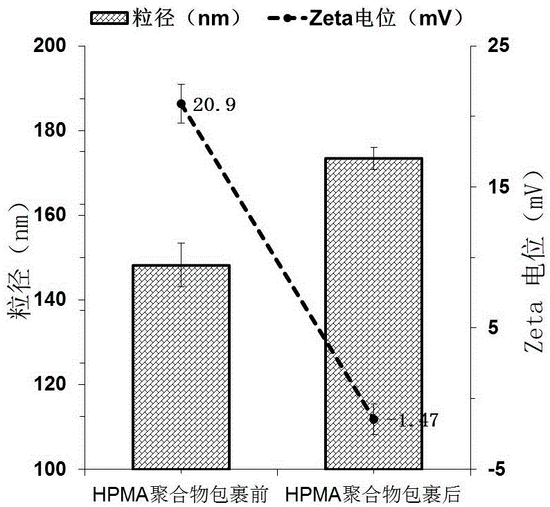 N-(2-hydroxypropyl) methacrylamide polymer based nanoparticles and preparation method thereof