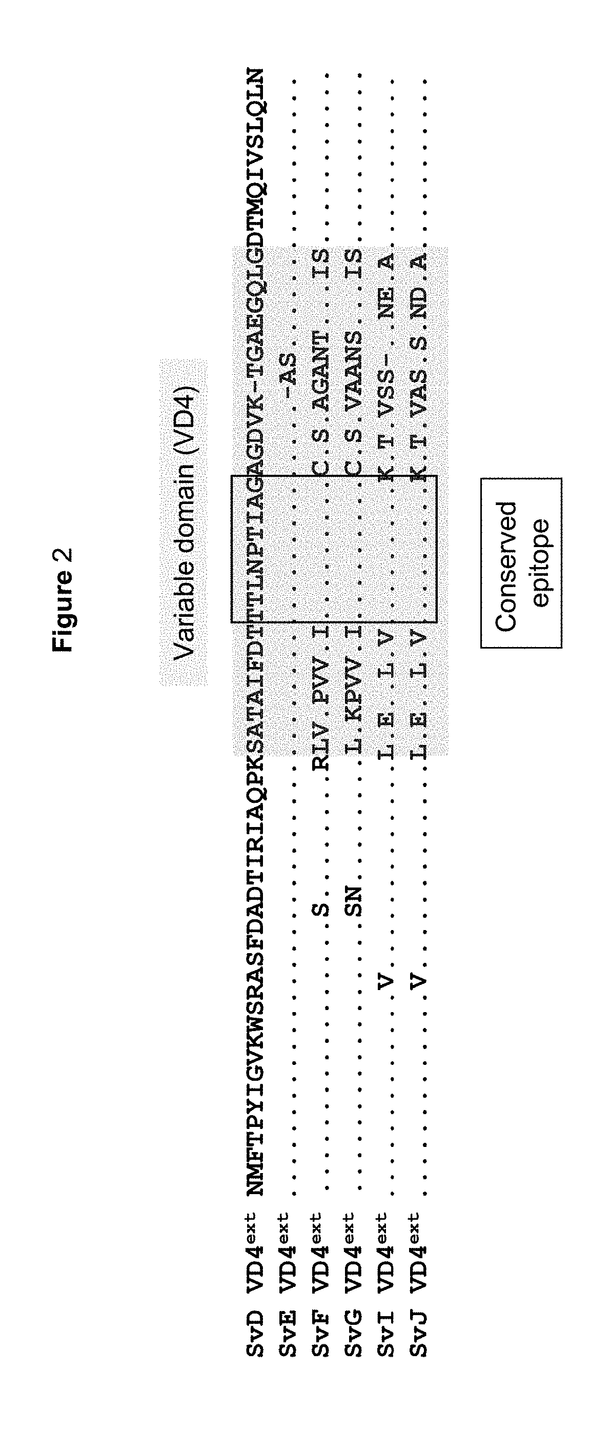 Vaccines against Chlamydia sp.