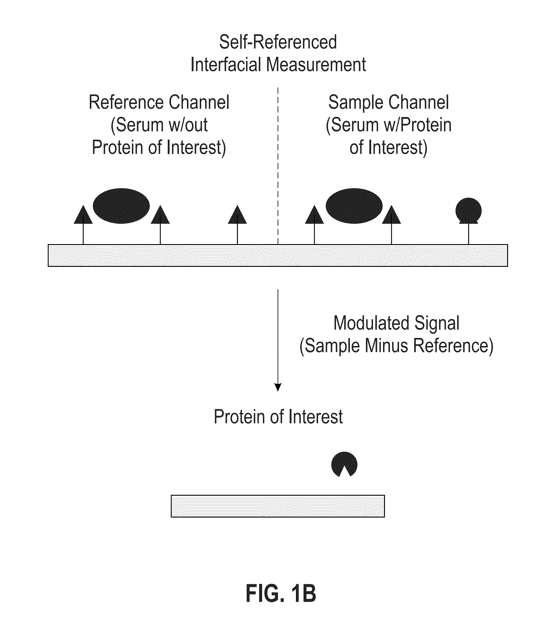 Ultrasensitive biological and chemical detection using surface plasmon resonance