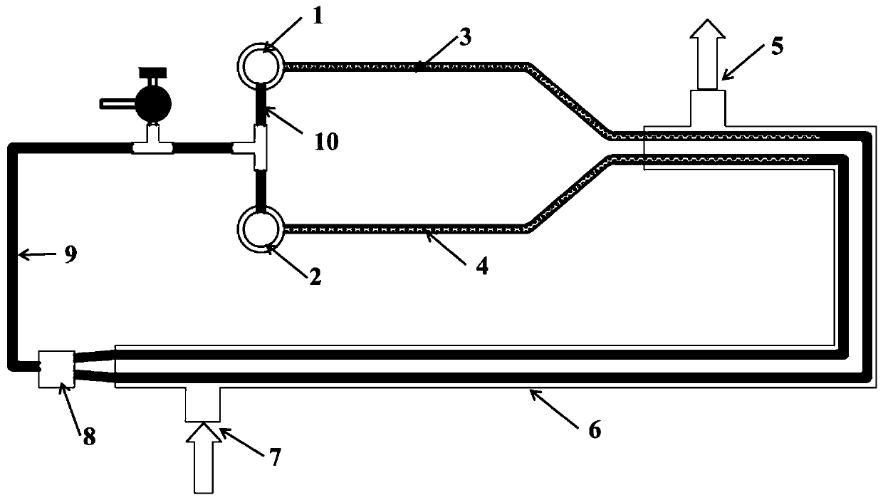 Double-evaporator loop heat pipe
