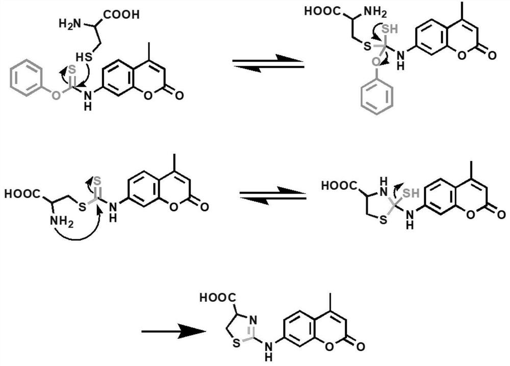 A specific two-photon imaging fluorescent probe and its preparation method and application