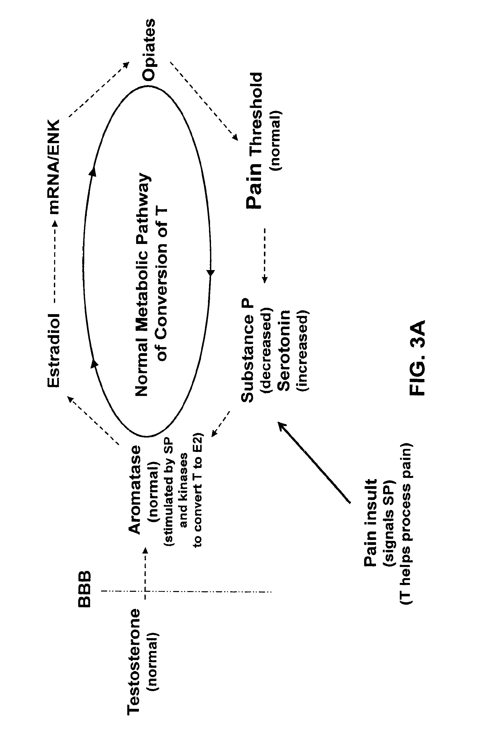 Methods for treating chronic or unresolvable pain and/or increasing the pain threshold in a subject and pharmaceutical compositions for use therein