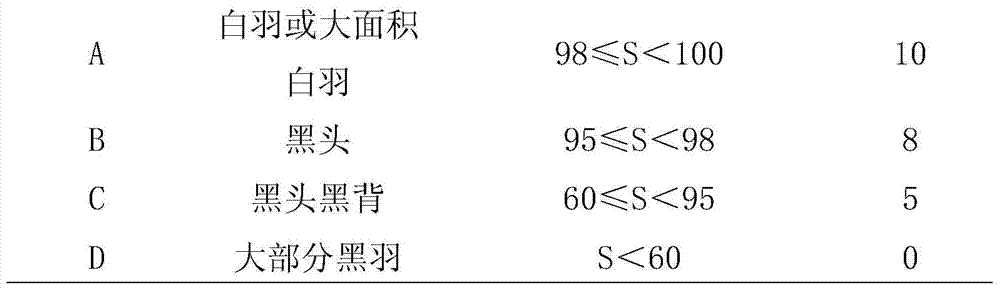 A kind of female parent breeding method of white feather intergeneric hybrid duck