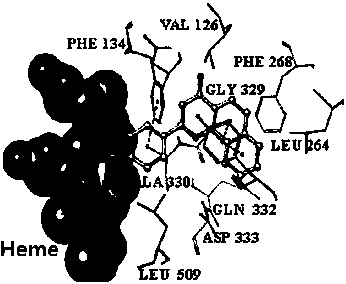 Water-soluble aza-alpha-naphthoflavone compound and preparation method and medical application thereof