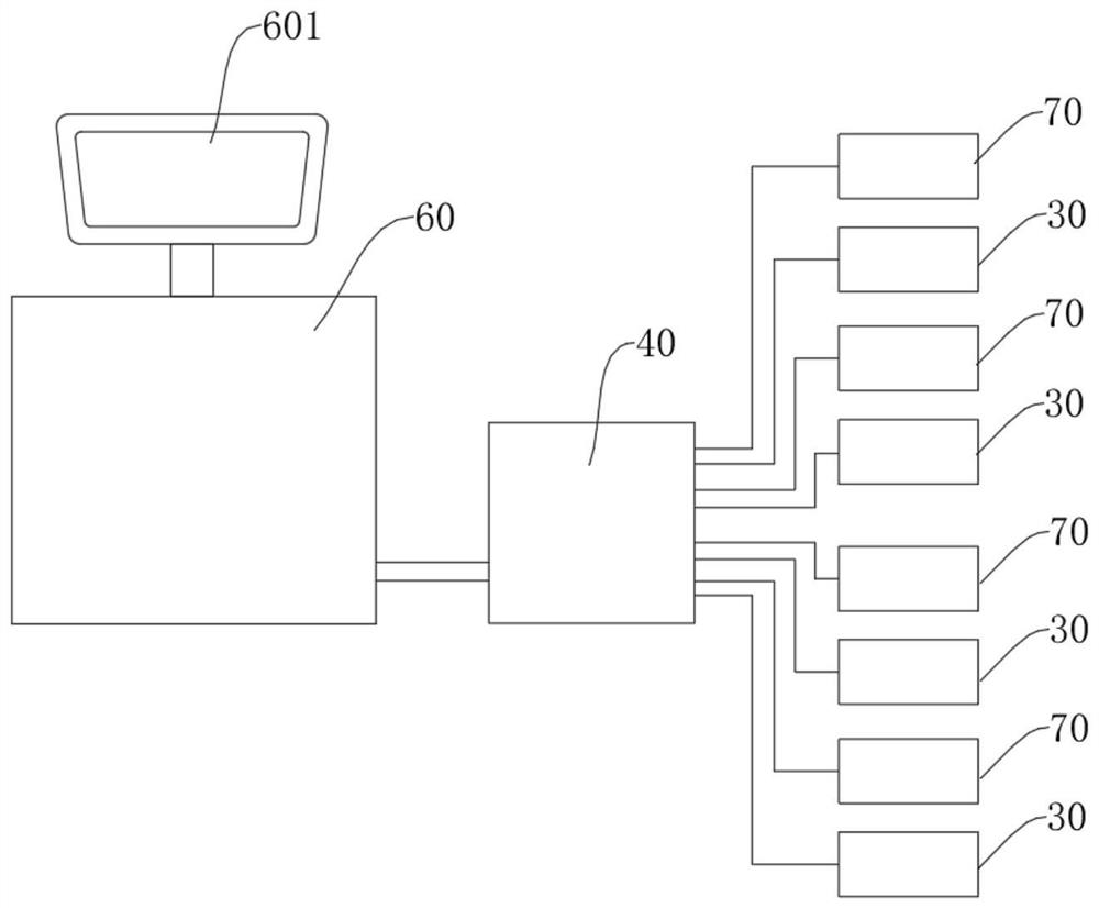 Online real-time detection system and method for biological sample