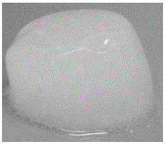 Injectable hydrogel prepared by mixing cartilage decellularization epimatrix with decalcified bone matrix and preparation method of injectable hydrogel