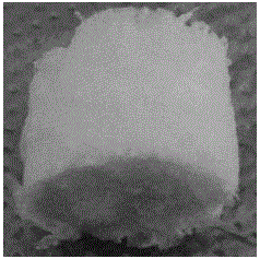 Injectable hydrogel prepared by mixing cartilage decellularization epimatrix with decalcified bone matrix and preparation method of injectable hydrogel