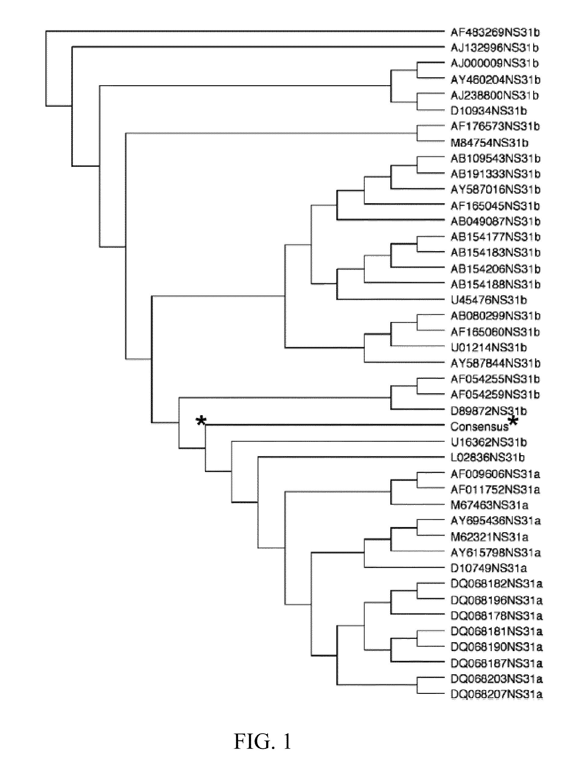 HCV vaccines and methods for using the same