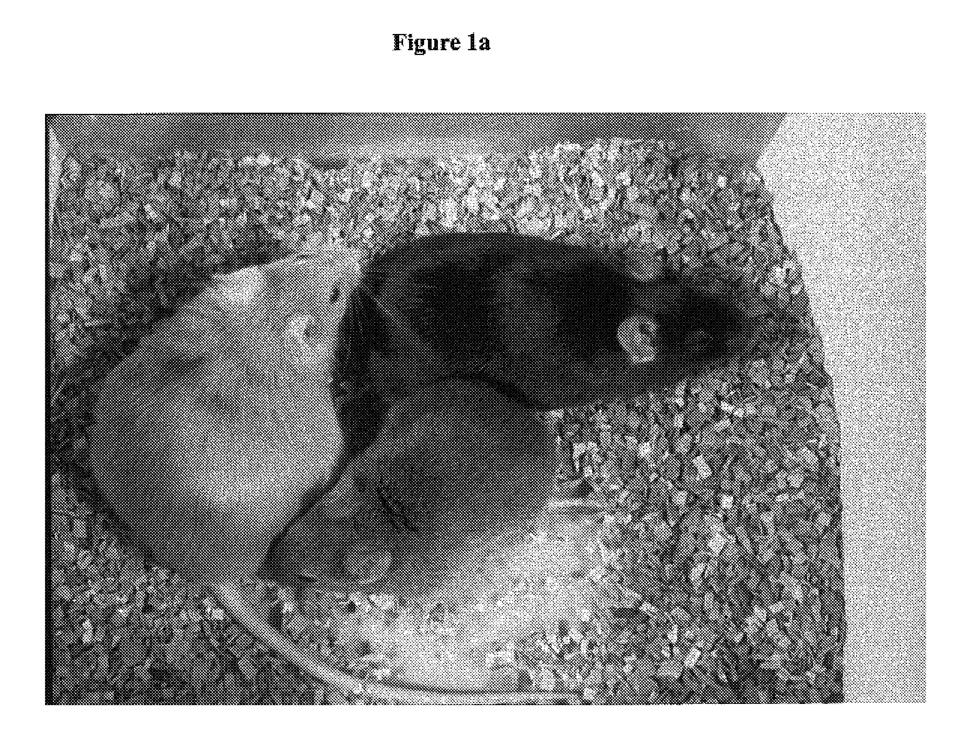 Methods for determining effects of maternal treatments on offspring