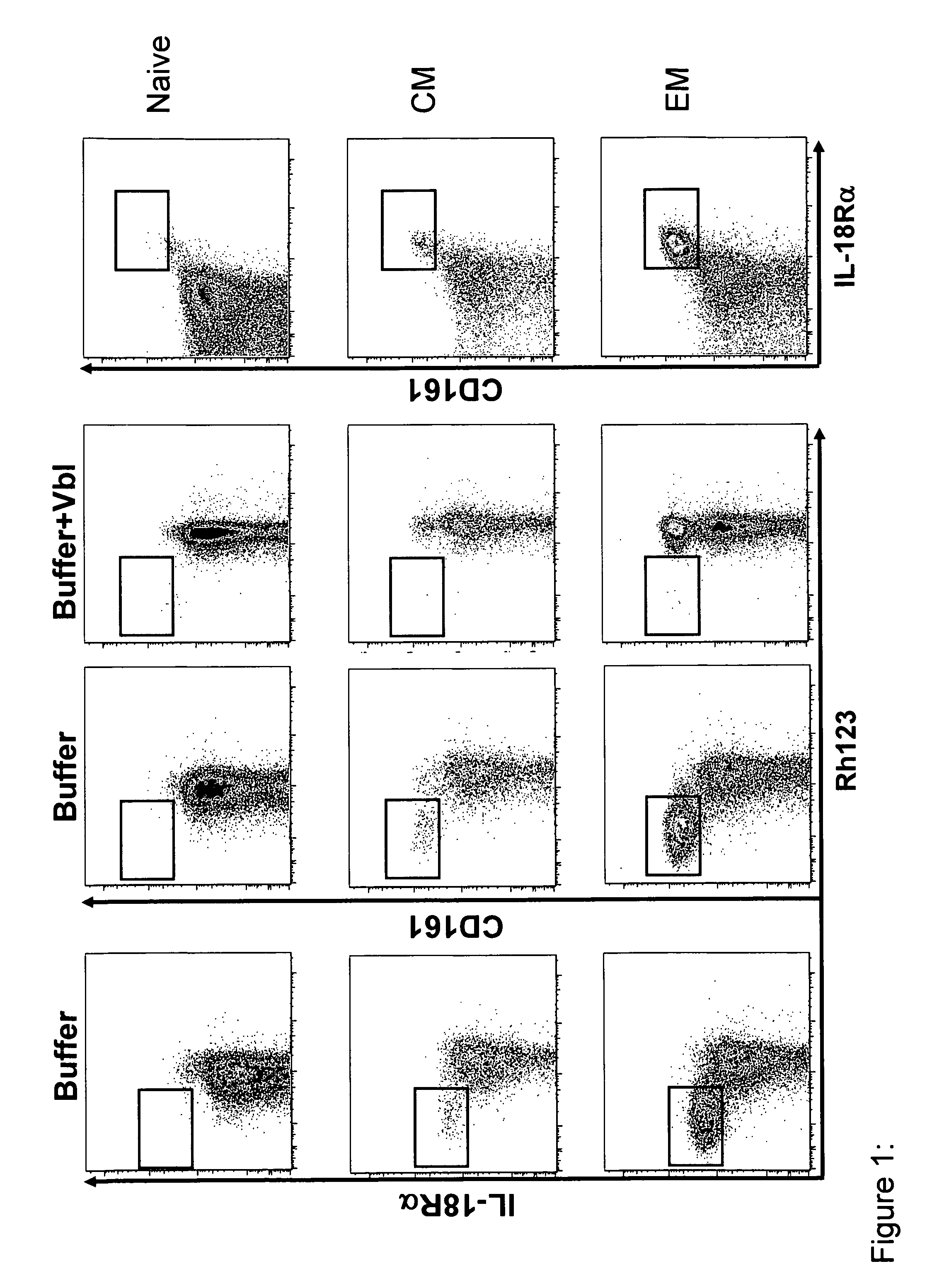 Identifcation of CD8<sup>+</sup> T cells that are CD161<sup>hi </sup>and/or IL18Rα<sup>hi </sup>and have rapid drug efflux capacity