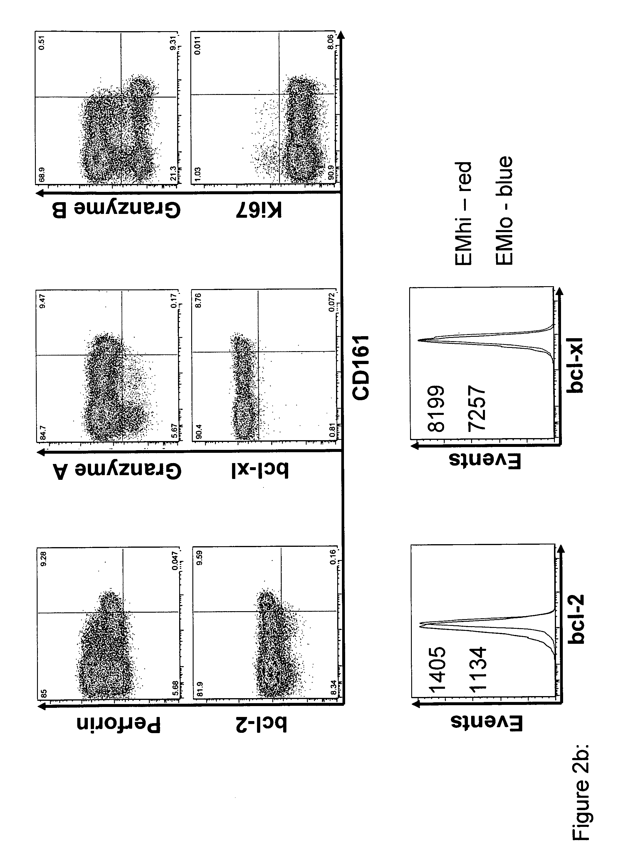 Identifcation of CD8<sup>+</sup> T cells that are CD161<sup>hi </sup>and/or IL18Rα<sup>hi </sup>and have rapid drug efflux capacity