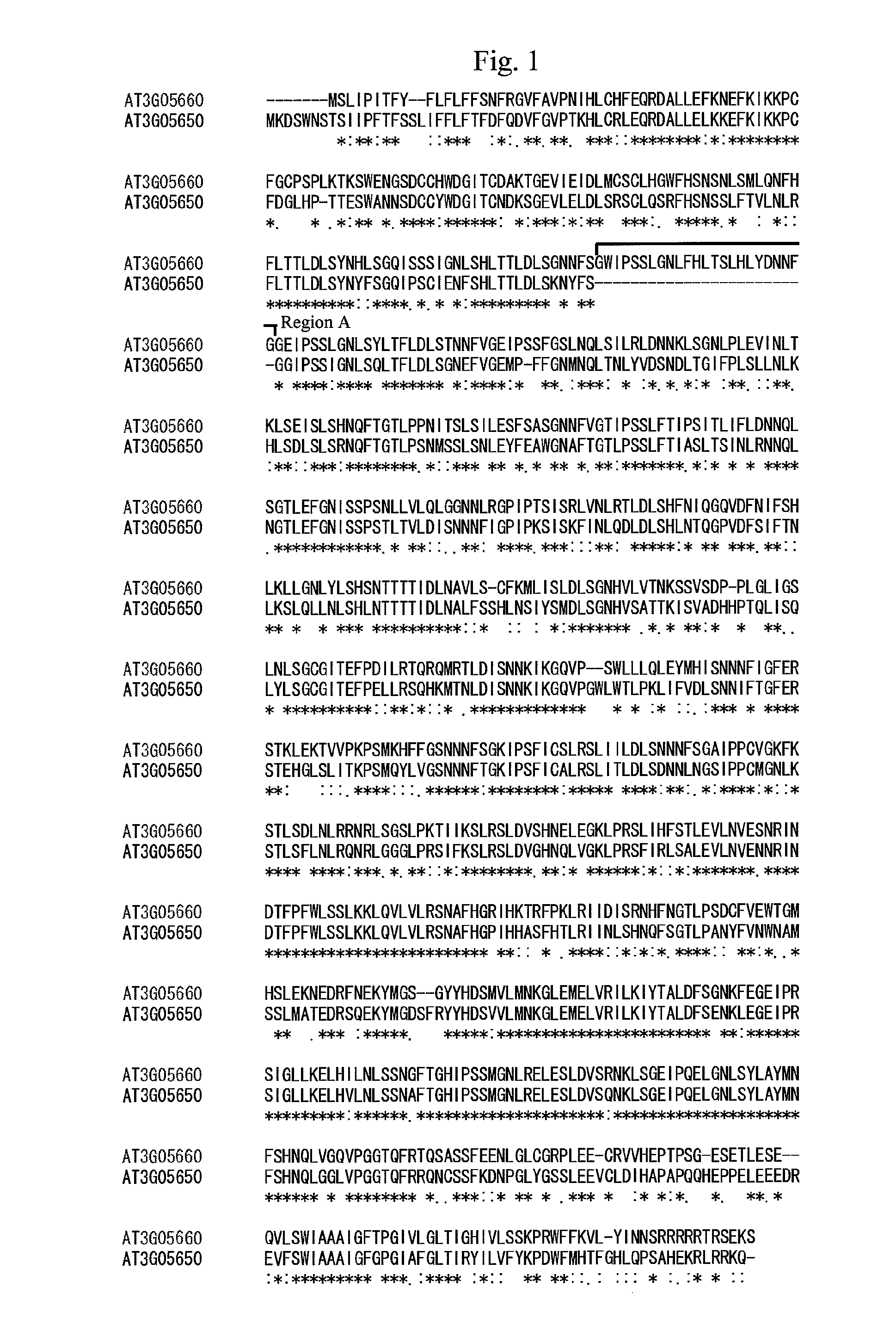 Gene for increasing the production of plant biomass and method of use thereof