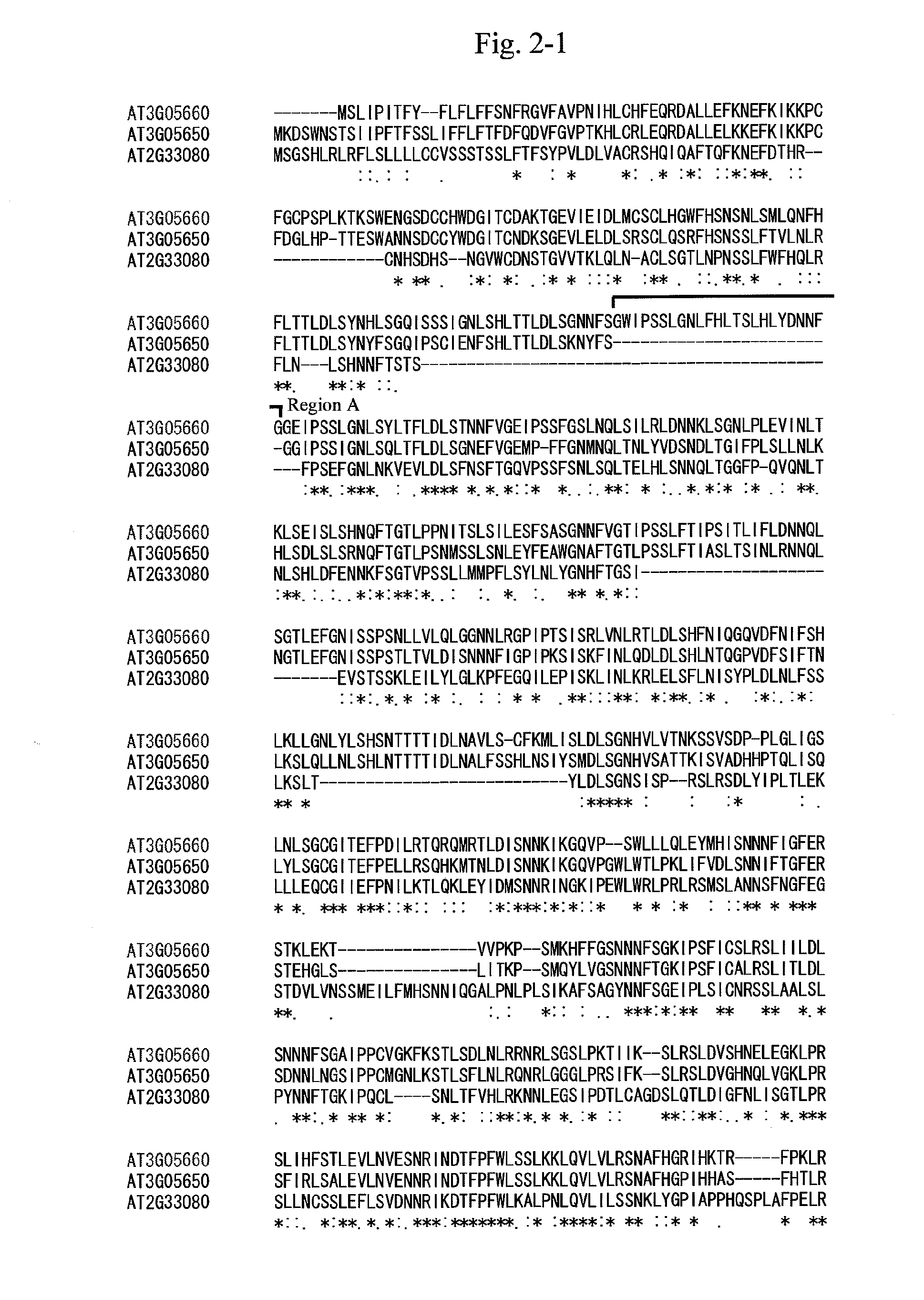 Gene for increasing the production of plant biomass and method of use thereof