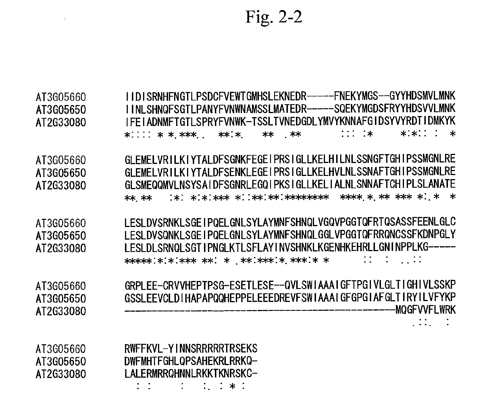 Gene for increasing the production of plant biomass and method of use thereof