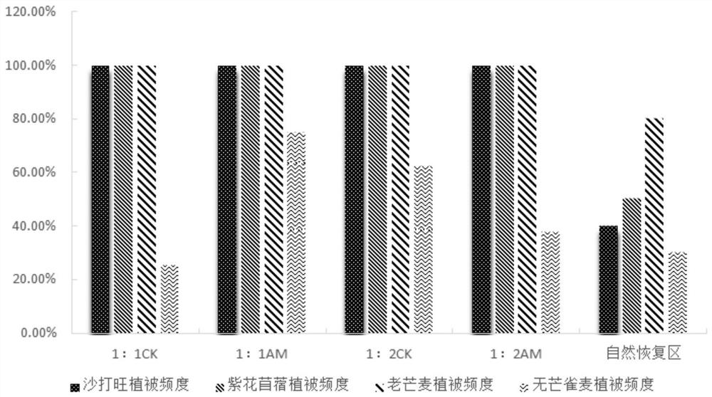 Microorganism-plant combined remediation method suitable for open pit coal mine waste dump