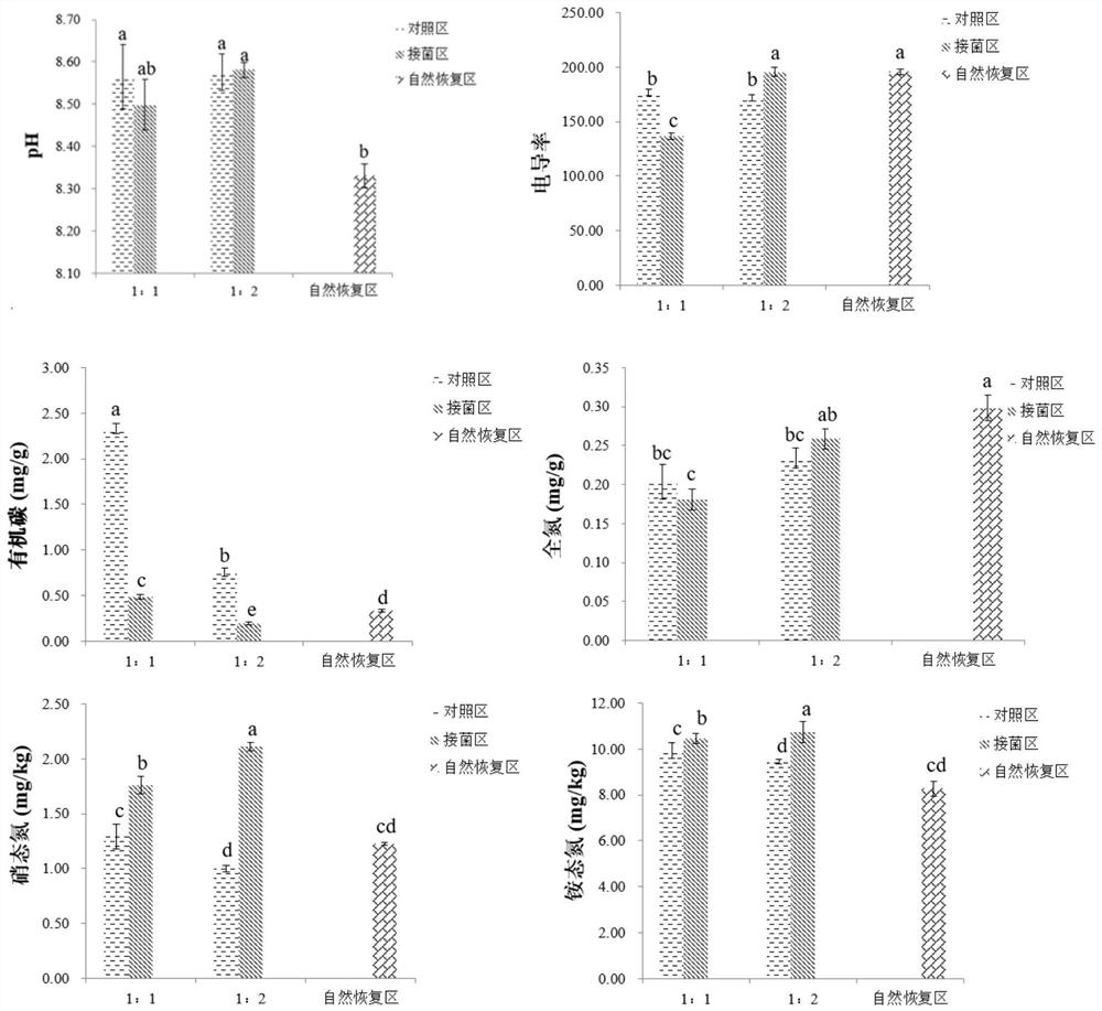 Microorganism-plant combined remediation method suitable for open pit coal mine waste dump