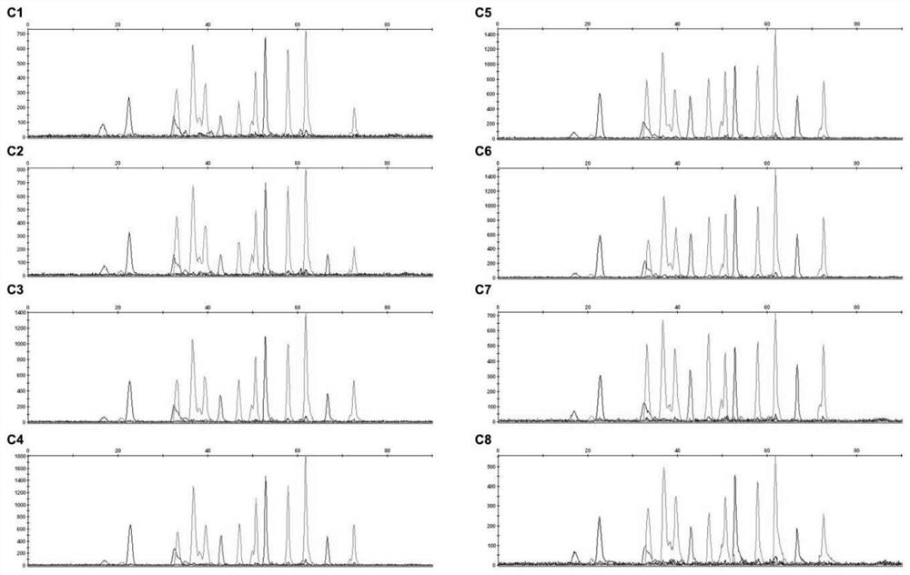 Sports muscle injury related mitochondrial detection site, detection method and application