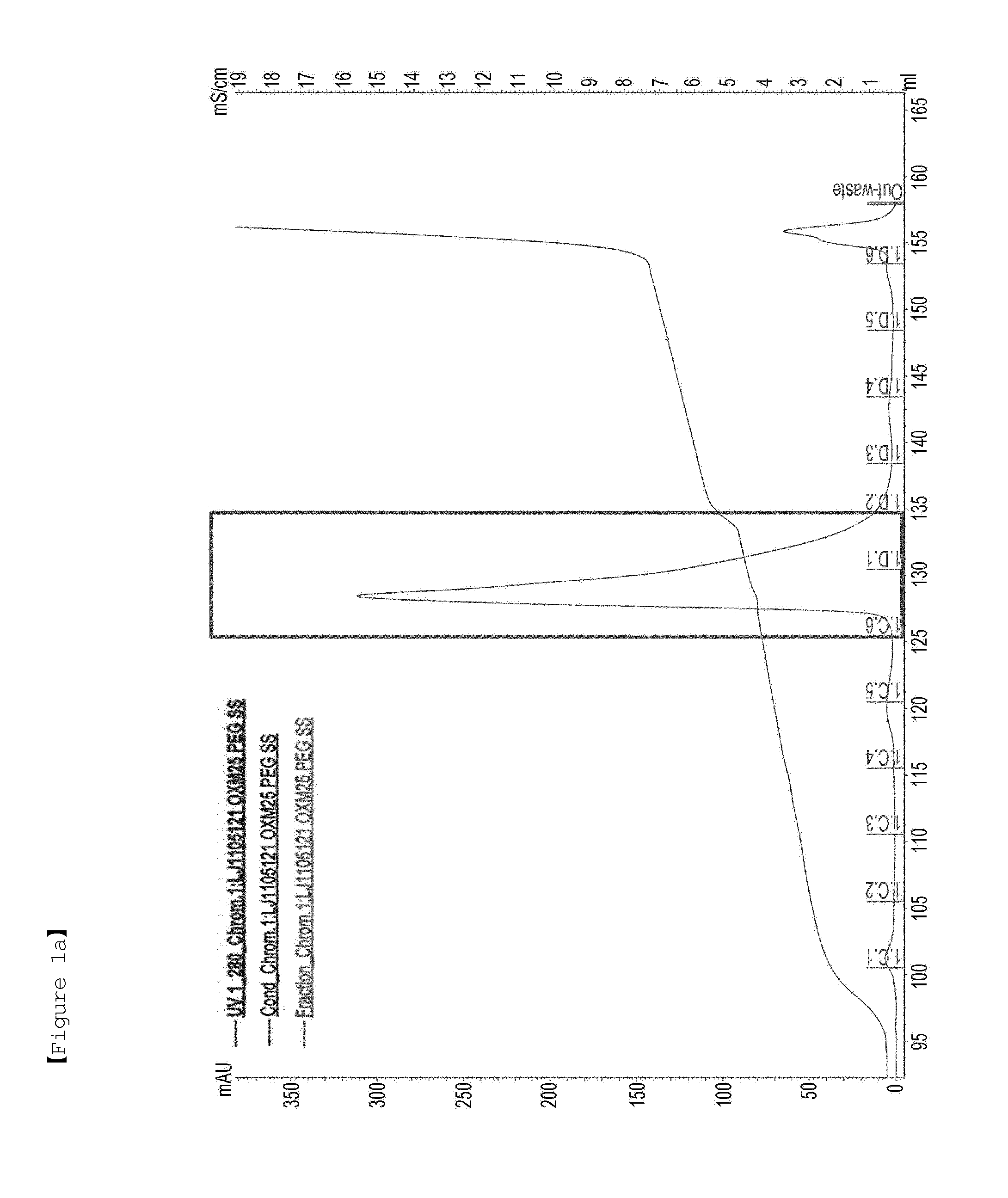 Liquid formulation of protein conjugate comprising the oxyntomodulin and an immunoglobulin fragment