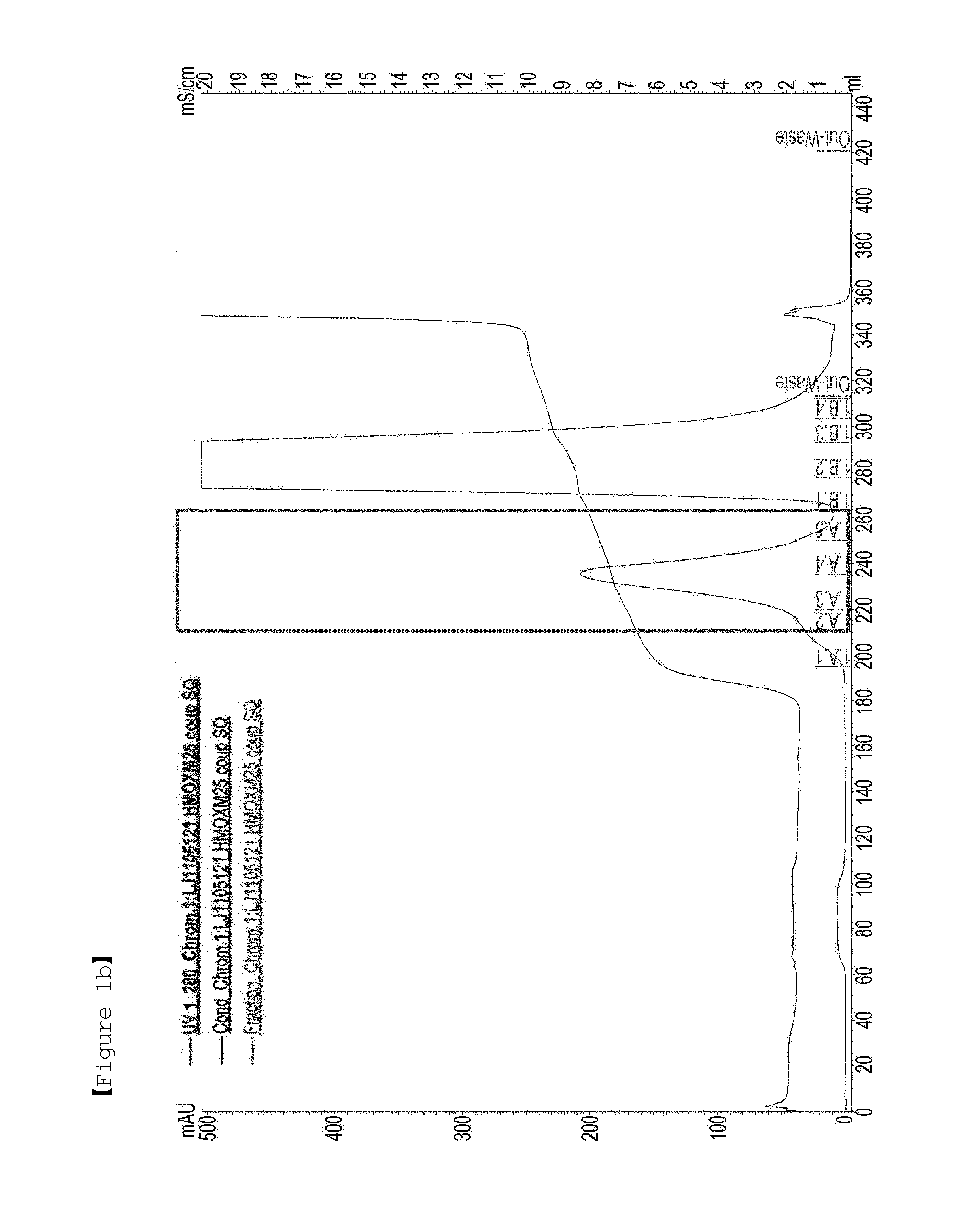 Liquid formulation of protein conjugate comprising the oxyntomodulin and an immunoglobulin fragment