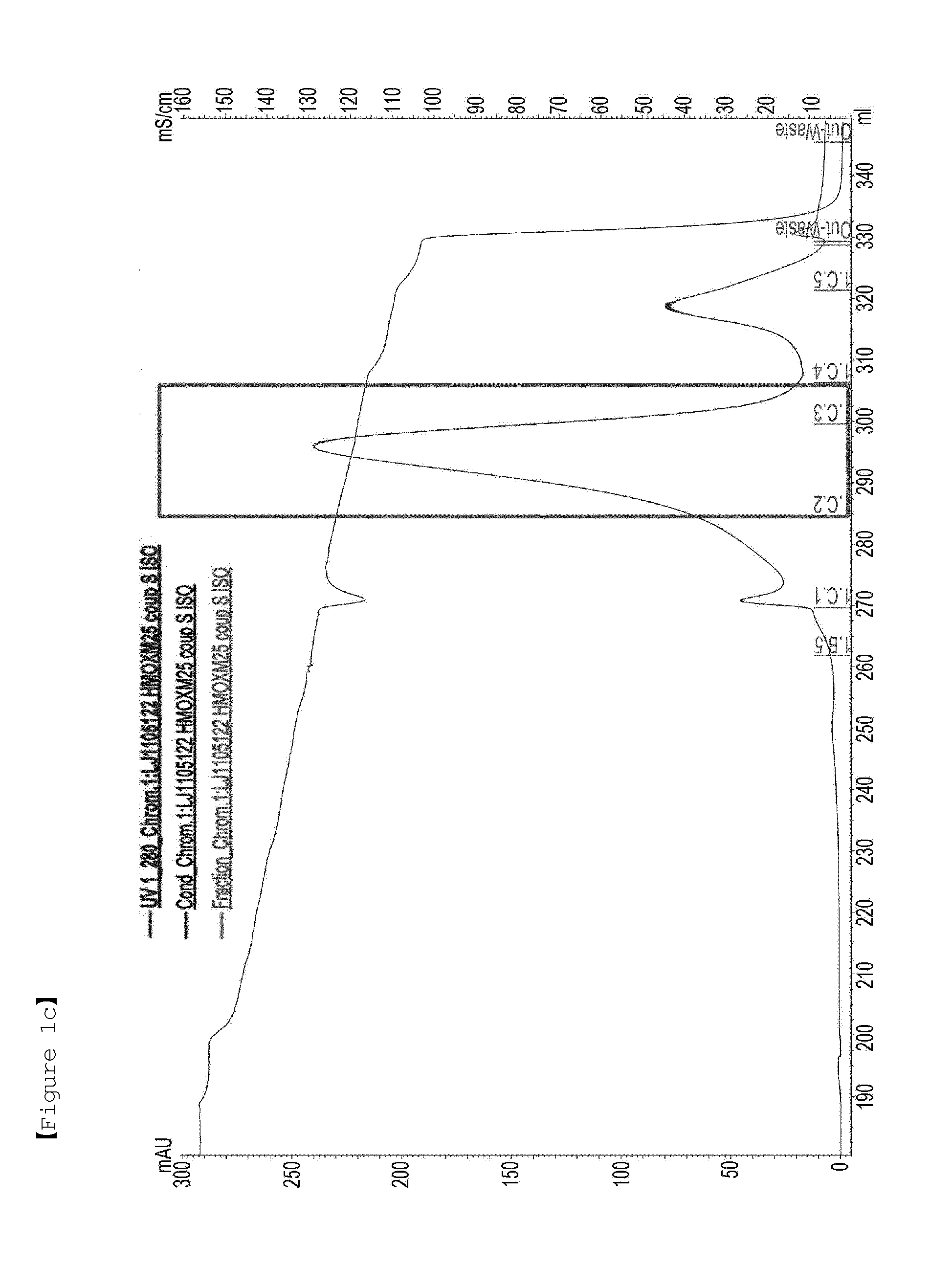 Liquid formulation of protein conjugate comprising the oxyntomodulin and an immunoglobulin fragment