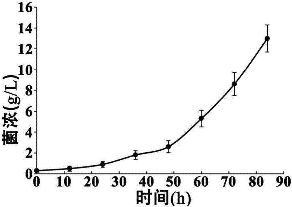 Method for extracting intracellular coenzymes A and organic acids from saccharopolyspora erythraea