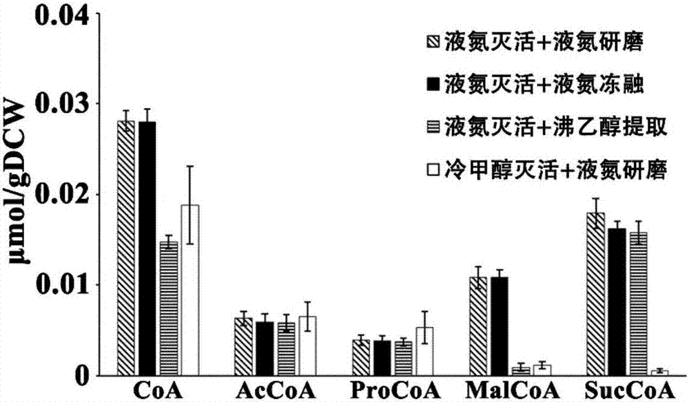 Method for extracting intracellular coenzymes A and organic acids from saccharopolyspora erythraea