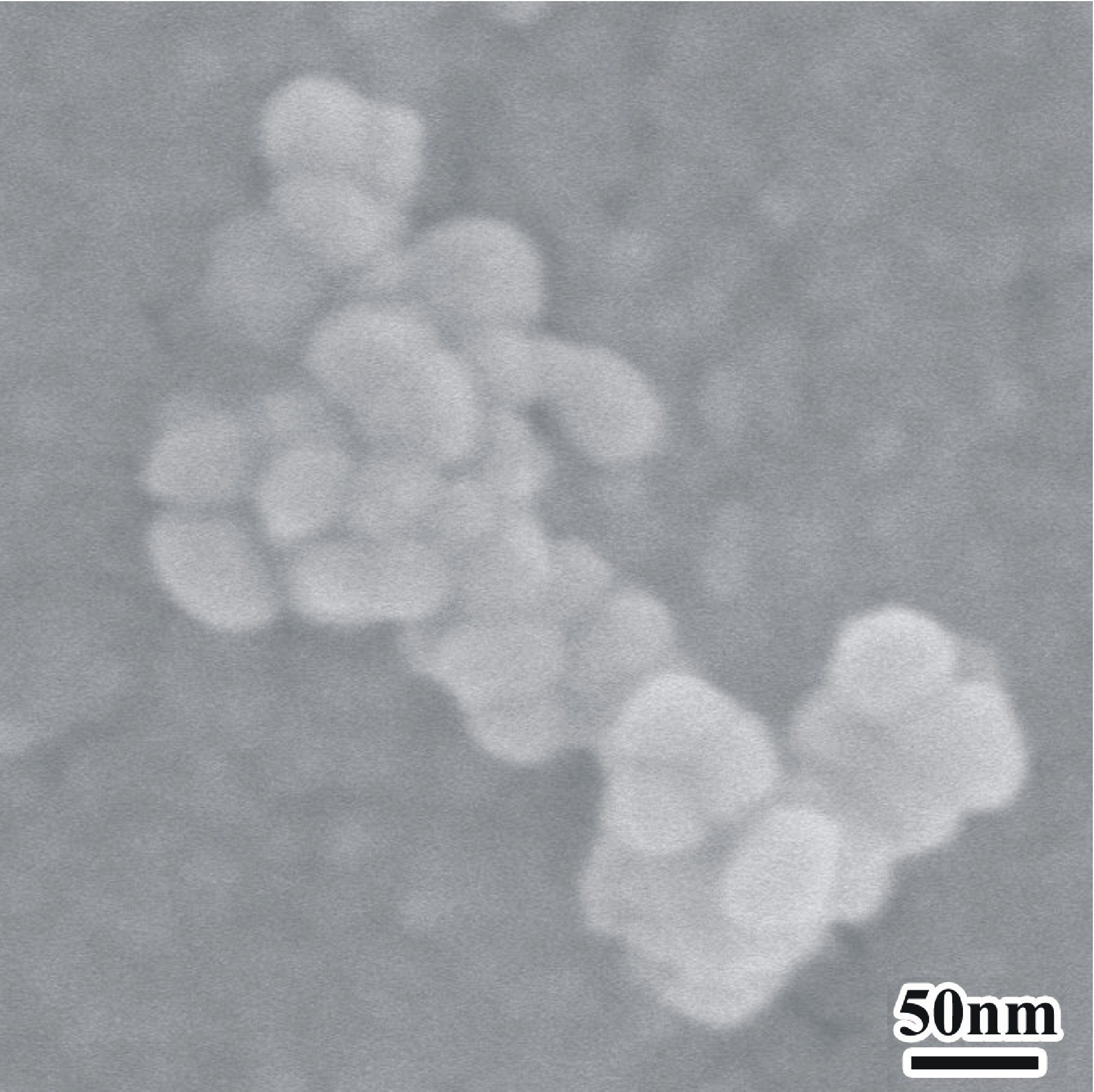 Preparation method of mono-disperse gadolinium borate nanometer crystal