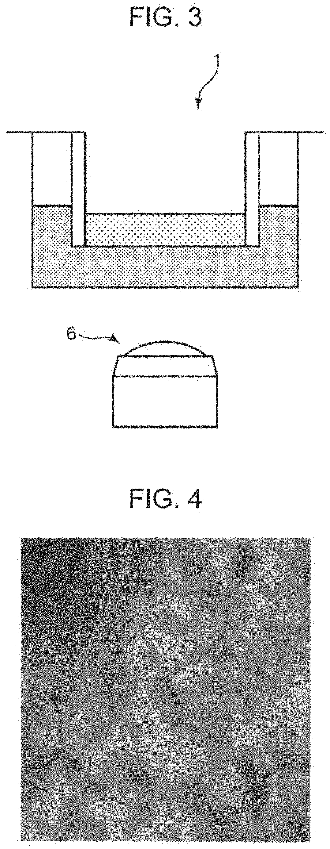 Device for detecting tomato pathogenic fungus and detection method using the same