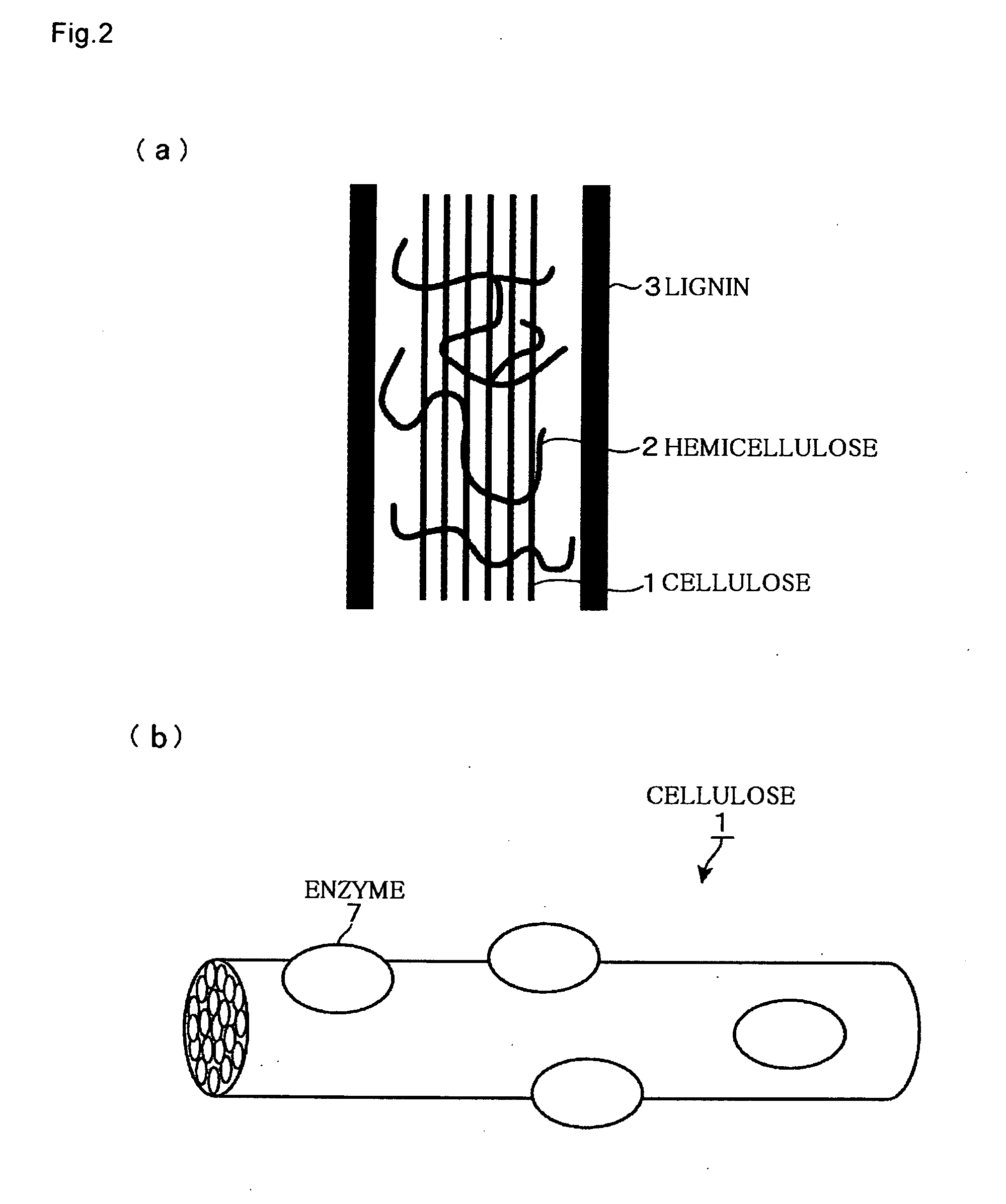 Method of producing sugar solution and saccharification device