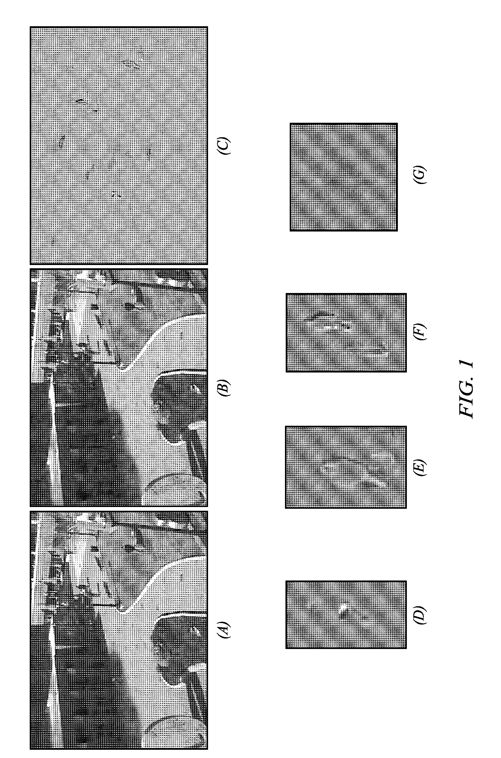 Method and Apparatus for Object Detection in an Image