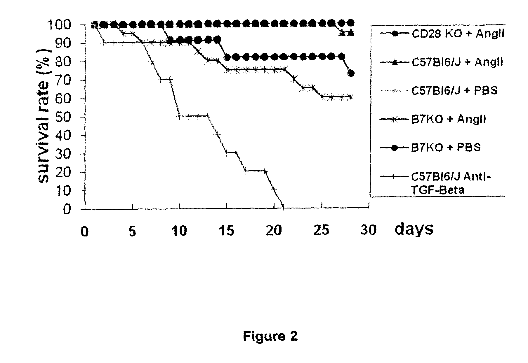 Methods for producing a non human model for aortic aneurysm
