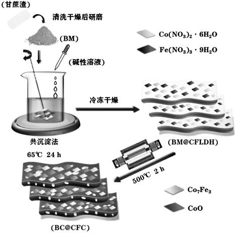 Preparation of biochar-modified ferrocobalt bimetallic composite catalyst and application of biochar-modified ferrocobalt bimetallic composite catalyst in catalytic degradation of tetracycline