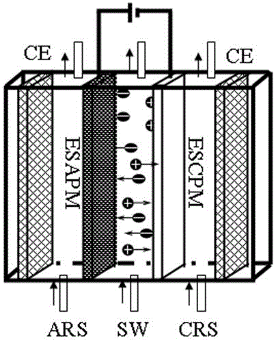 Separation process of electronic control ion selective permeable membrane