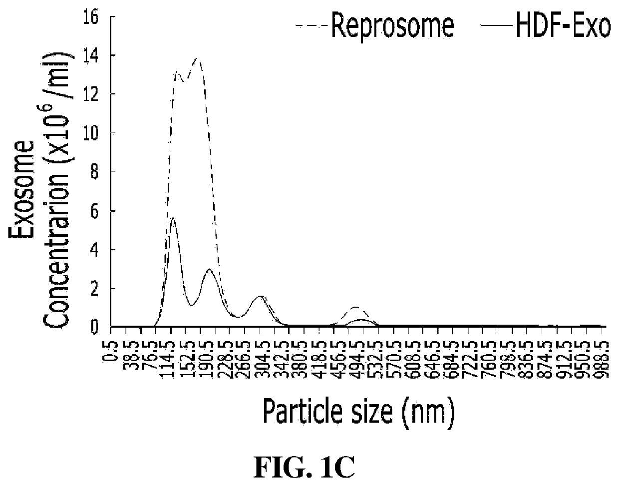 Composition comprising induced exosome for hair regeneration