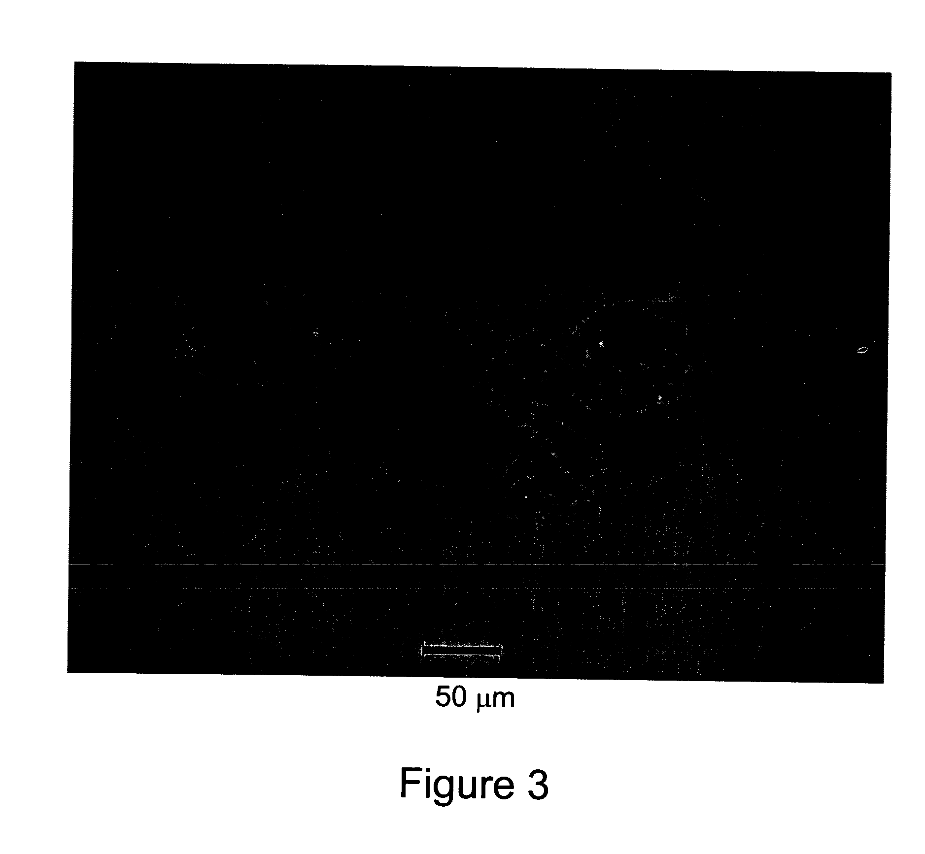 Rapid disintegrating tablets (RDTs) for pharmaceutical use and method for preparing the same