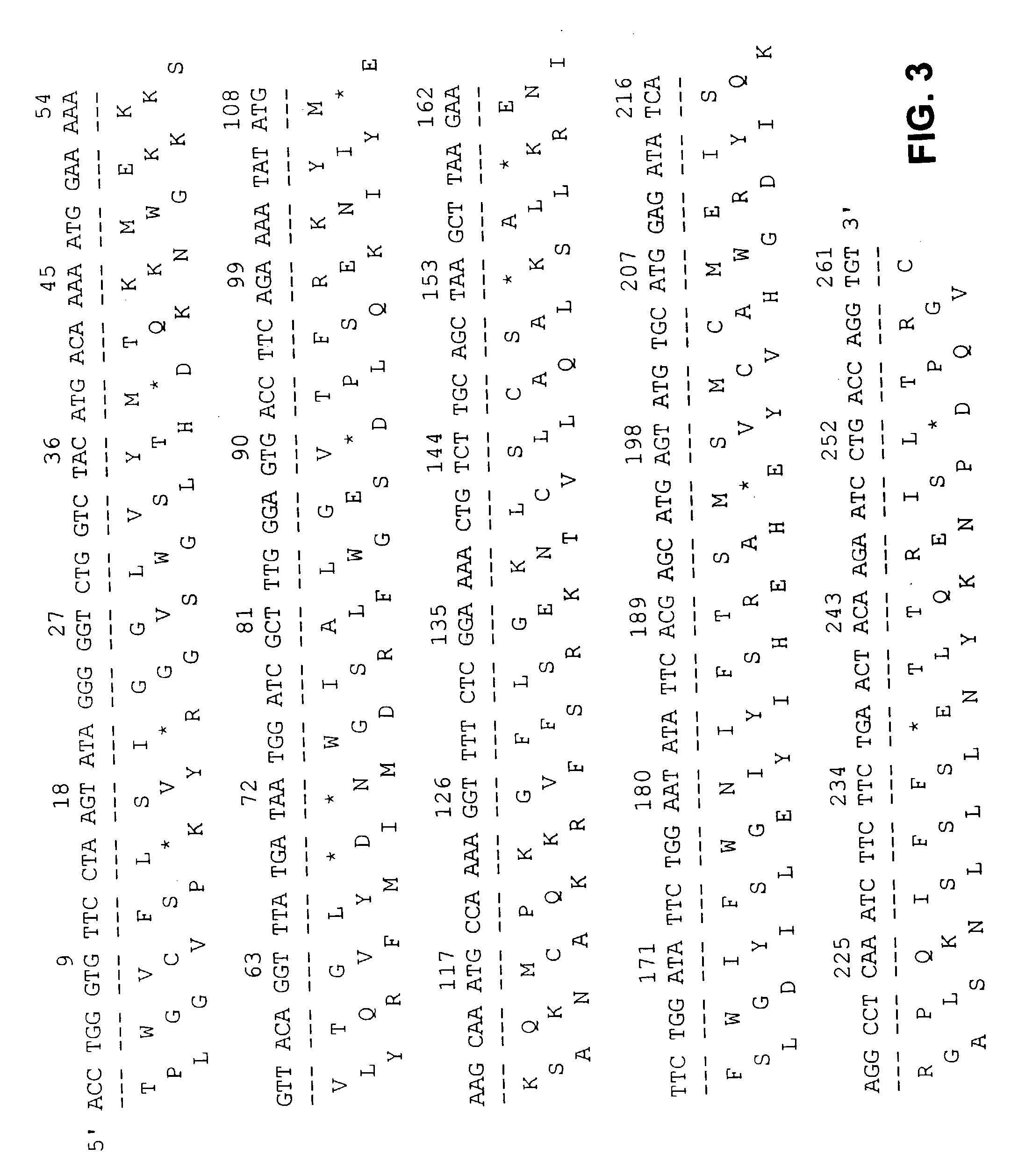 Novel serine-threonine kinase gene