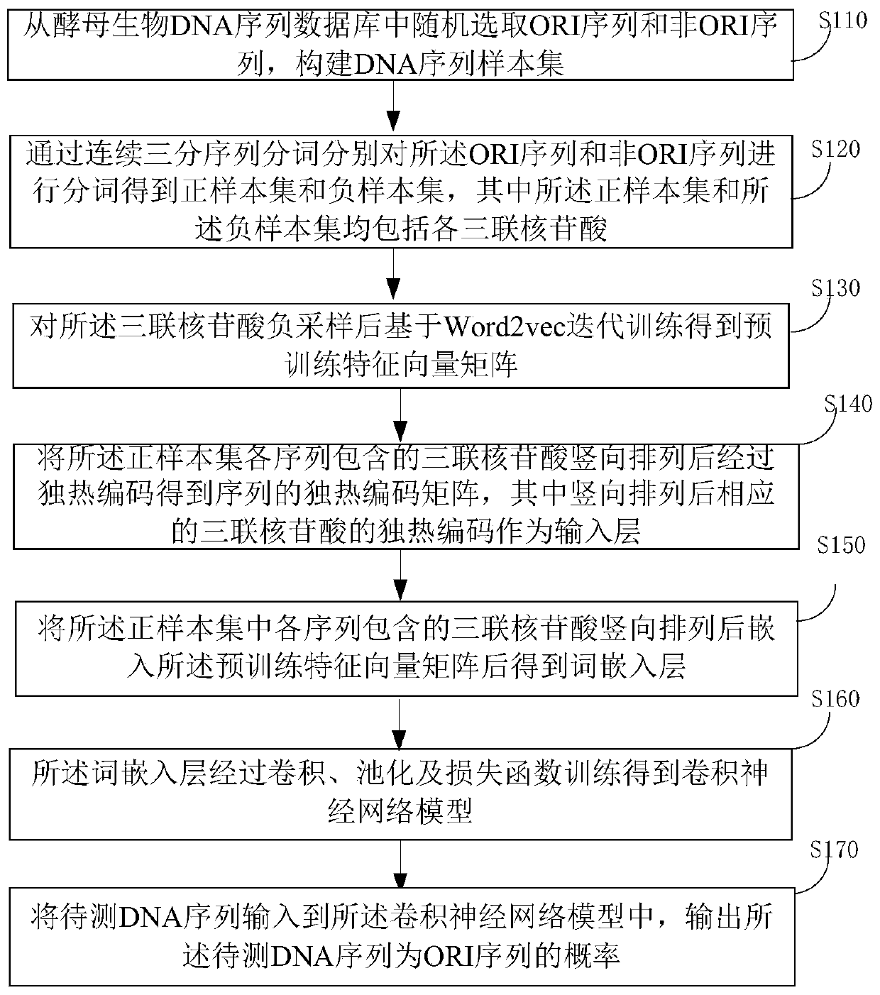 Word vector and convolutional neural network based DNA replication initial region identification method