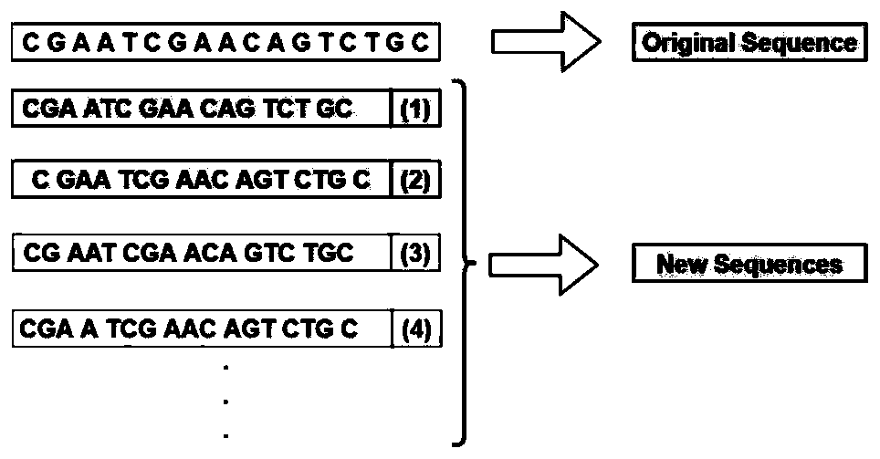 Word vector and convolutional neural network based DNA replication initial region identification method