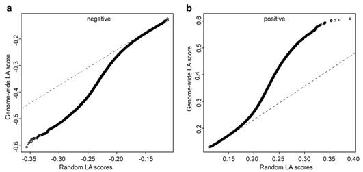 A method for predicting the function of unknown genes in maize based on the dynamic correlation between gene expression and traits