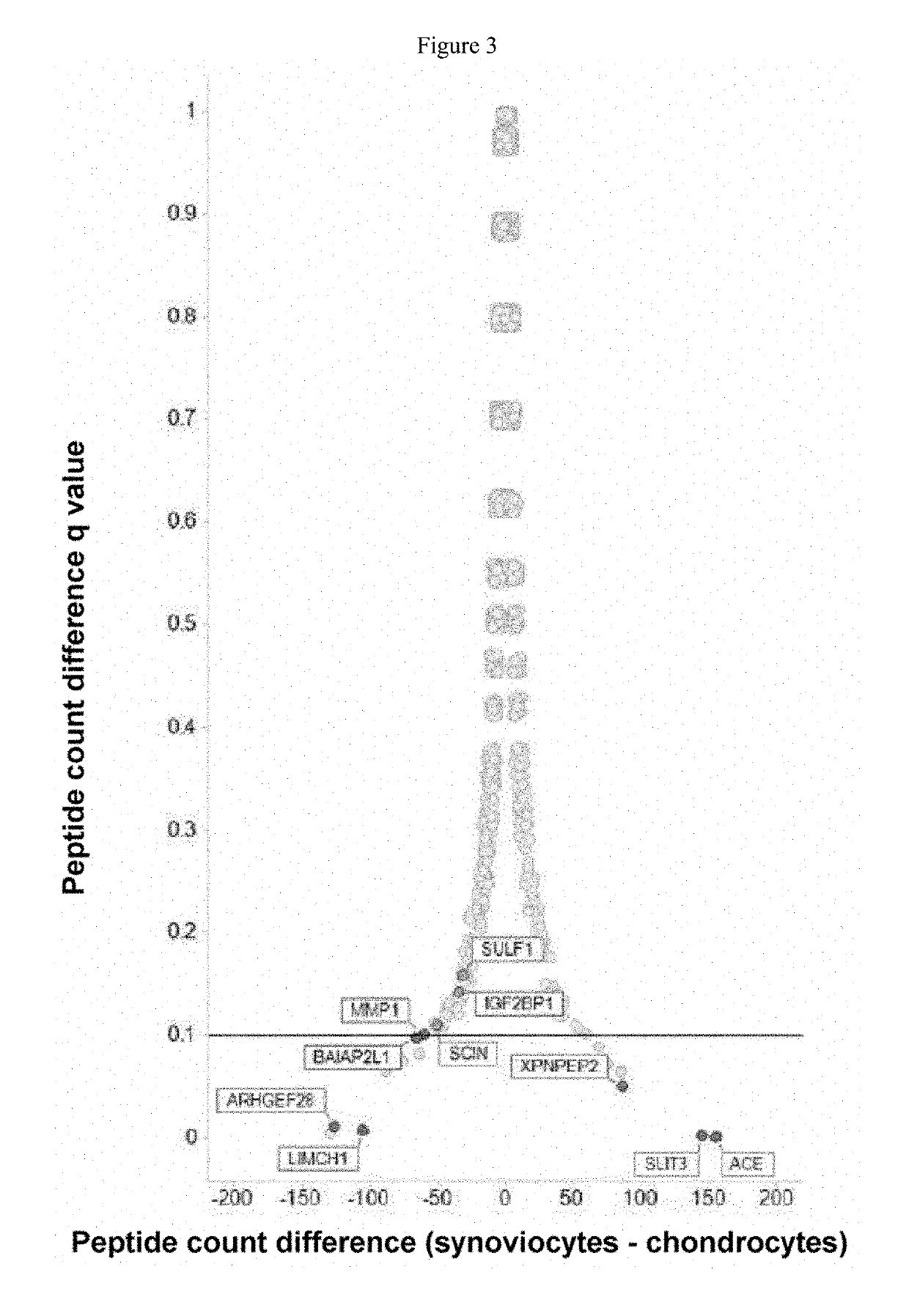 Marker and Method for Determining the Composition or Purity of a Cell Culture and for Determining In Vitro the Identity of a Cartilage Cell or Synovial Cell
